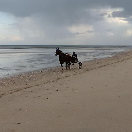Gites En Normandie En Front De Mer A Asnelles , 3Km D'Arromanches, 10Km De Bayeux المظهر الخارجي الصورة