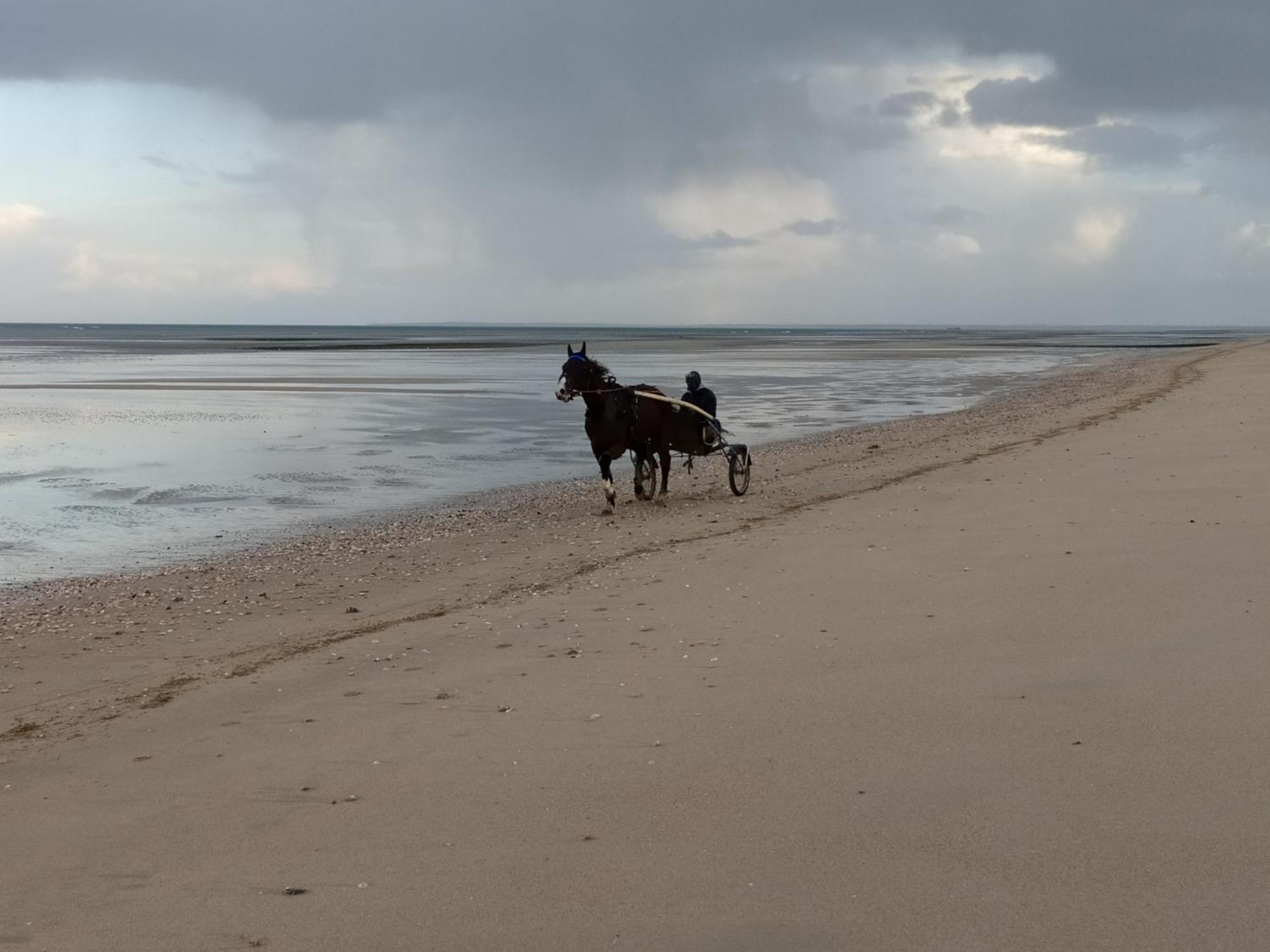 Gites En Normandie En Front De Mer A Asnelles , 3Km D'Arromanches, 10Km De Bayeux المظهر الخارجي الصورة